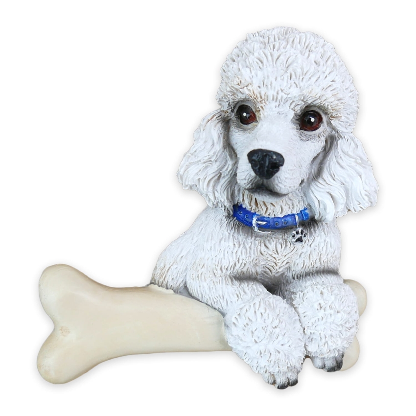 PIES PUDEL BIAŁY MP-17 2.jpg