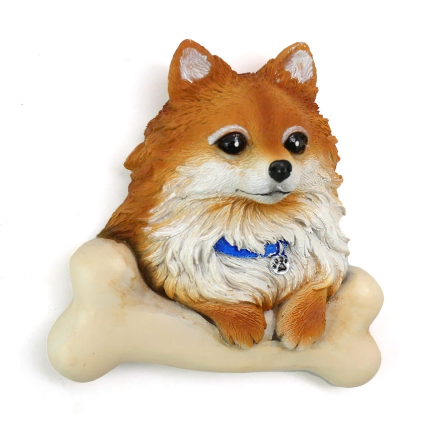 PIES SZPIC MP-21 2.jpg