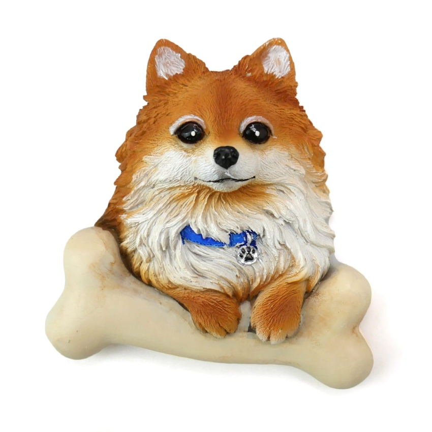 PIES SZPIC MP-21.jpg