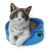 KOTEK RAGDOLL MAGNES STAWSCY MC-01 2.jpg