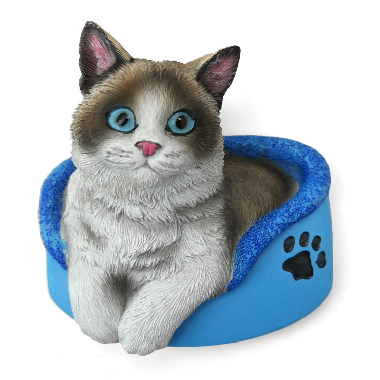 KOTEK RAGDOLL MAGNES STAWSCY MC-01 2.jpg