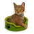 KOTEK BENGALSKI MAGNES STAWSCY MC-09 2.jpg