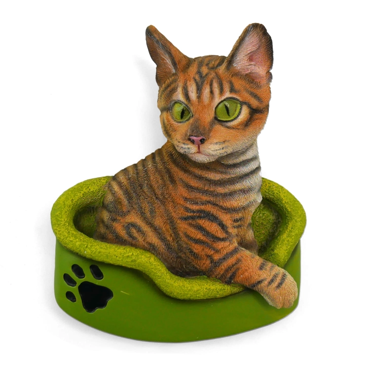 KOTEK BENGALSKI MAGNES STAWSCY MC-09 2.jpg