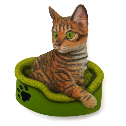 KOTEK BENGALSKI MAGNES STAWSCY MC-09.jpg