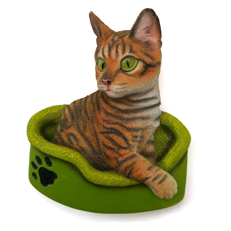 KOTEK BENGALSKI MAGNES STAWSCY MC-09.jpg