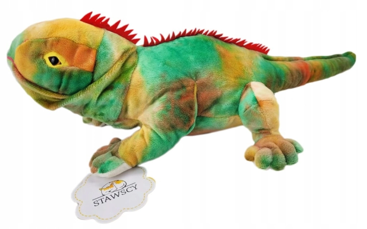 LEGWAN STAWSCY JASZCZURKA ZIELONA.jpg
