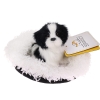 Realistyczny Piesek Figurka Na Poduszce w Posłanku Maskotka Stawscy Border Collie 2.jpg