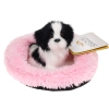 Realistyczny Piesek Figurka Na Poduszce w Posłanku Maskotka Stawscy Border Collie 3.jpg