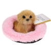 Realistyczny Piesek Figurka Na Poduszce w Posłanku Maskotka Stawscy Golden Retriever 3.jpg
