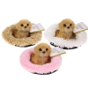 Realistyczny Piesek Figurka Na Poduszce w Posłanku Maskotka Stawscy Golden Retriever 00.jpg