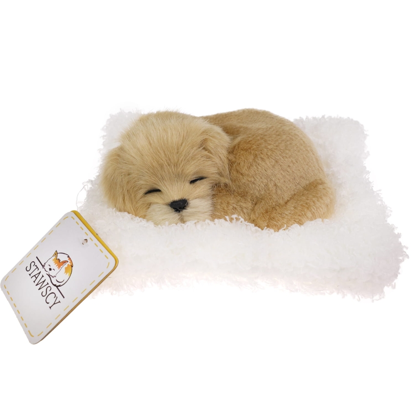 Realistyczny Piesek Śpiący Figurka Na Poduszce w Posłanku Maskotka Stawscy GOLDEN RETRIEVER.jpg