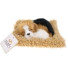 Realistyczny Piesek Śpiący Figurka Na Poduszce w Posłanku Maskotka Stawscy Beagle 2.jpg