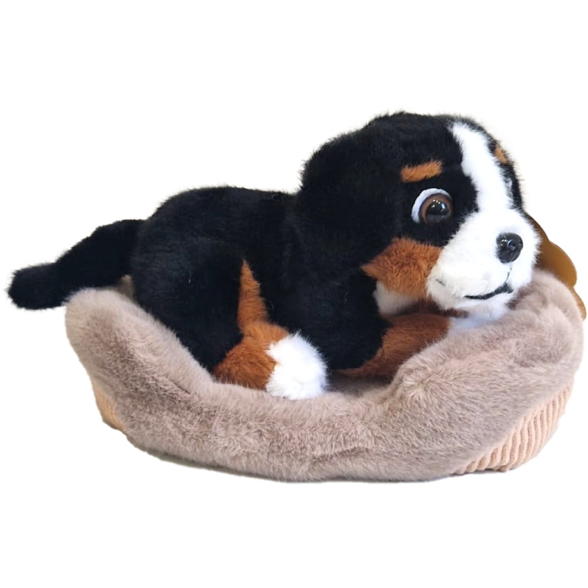 PIESEK NA POSLANLU W KOLDERCE STAWSCY MASKOTKA PLUSZOWY 3.jpg