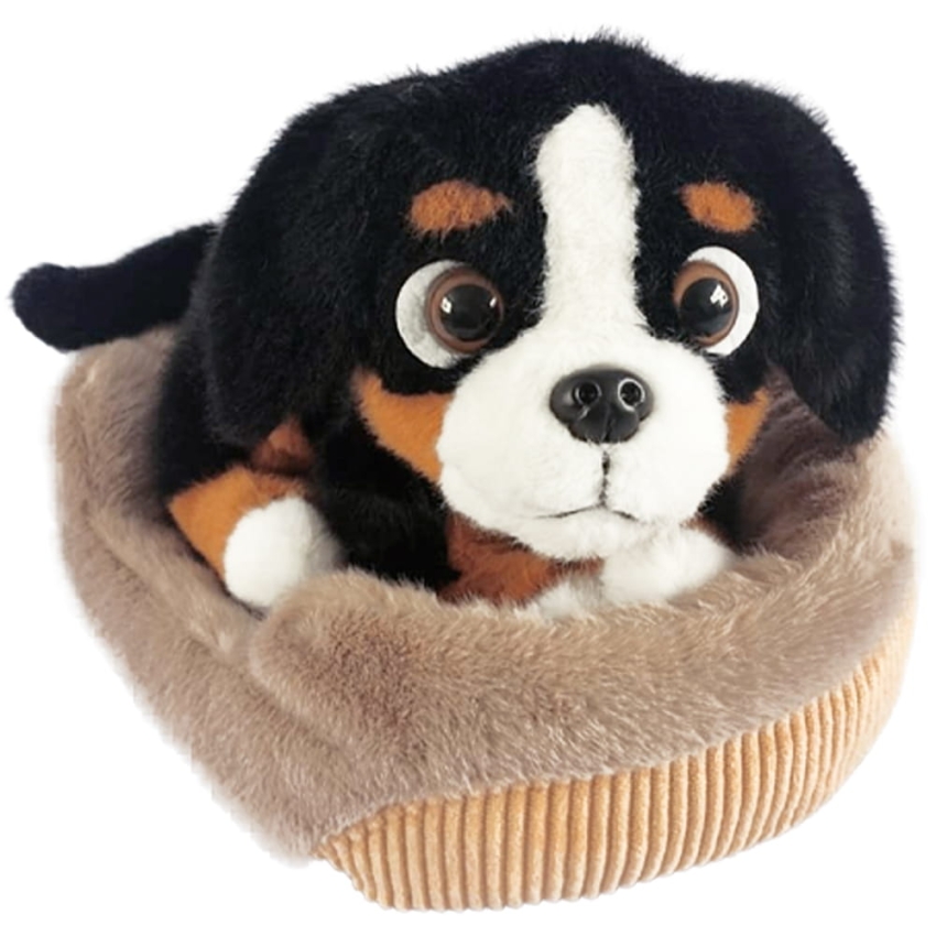 PIESEK NA POSLANLU W KOLDERCE STAWSCY MASKOTKA PLUSZOWY 2.jpg