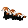 PANDA RUDA 2.jpg