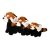 PANDA RUDA 2.jpg