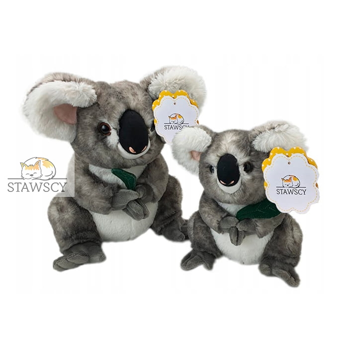 Miś Koala Pluszowa Maskotka Pluszak Stawscy 2.jpg