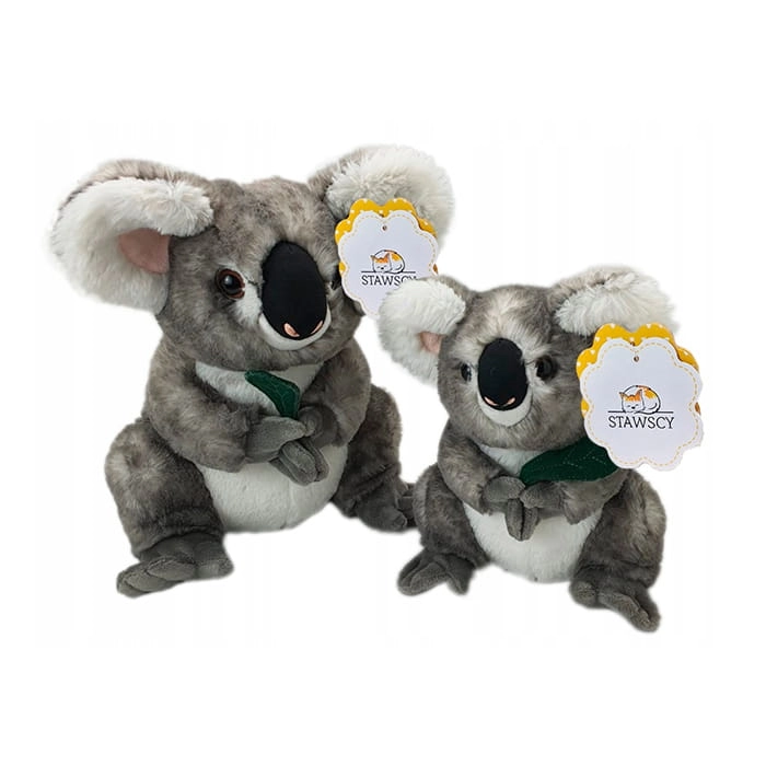 Miś Koala Pluszowa Maskotka Pluszak Stawscy 2.jpg