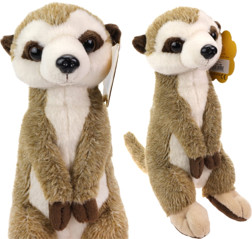 Surykatka Maskotka Pluszowy Pluszak Stawscy 0.jpg