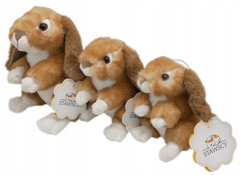 KROLIK ZAJAC MASKOTKA STAWSCY 3.jpeg