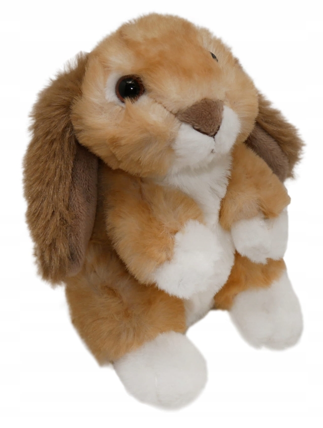 KROLIK ZAJAC MASKOTKA STAWSCY.jpeg