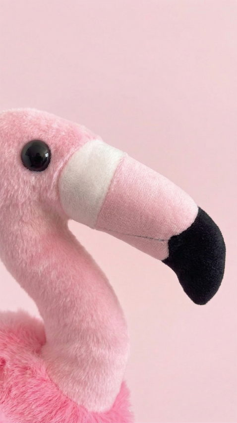 Pluszowy Flaming Ptak Maskotka Pluszak 6.png