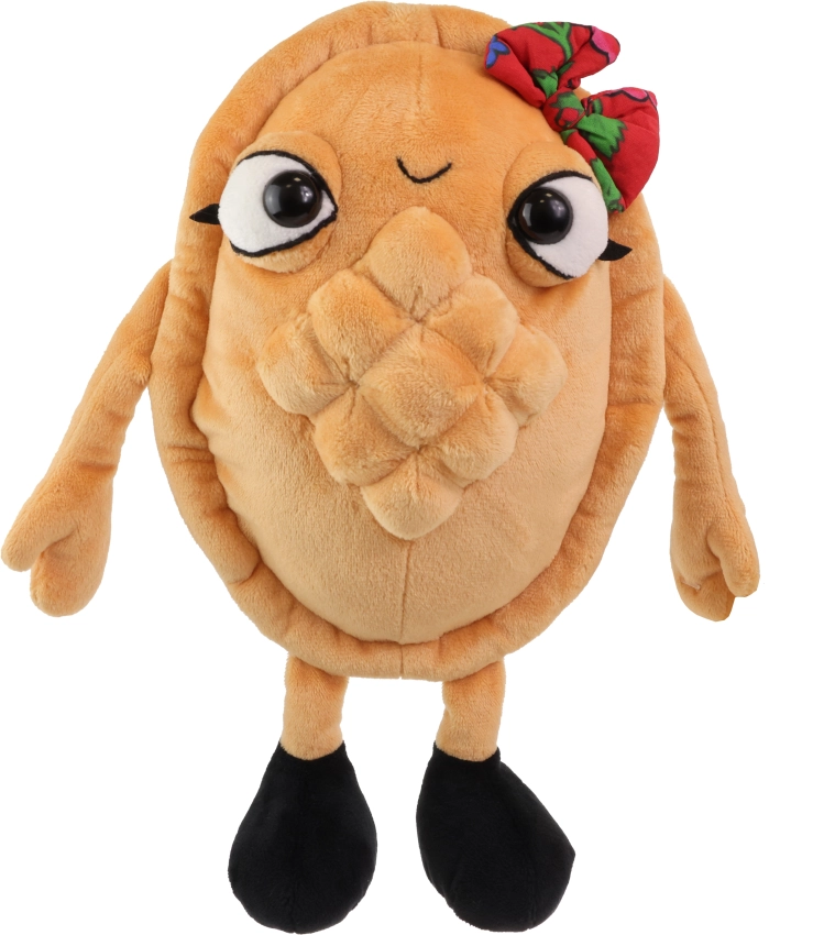 Cypinka Pluszowy Górski Ser Pierwszy Autorski Projekt Stawscy Maskotka Pluszak symbol polskich gór.jpg