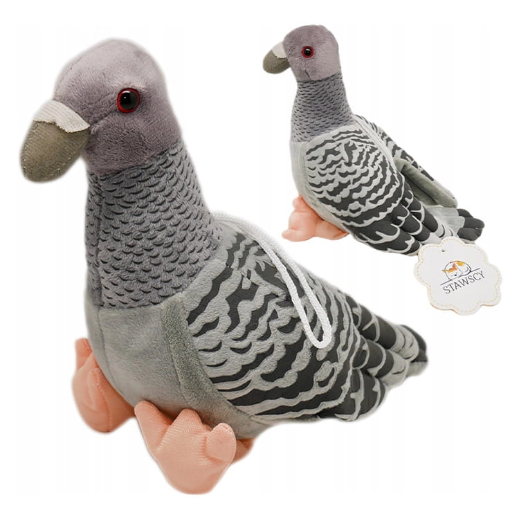 GOŁĄBEK1.jpg