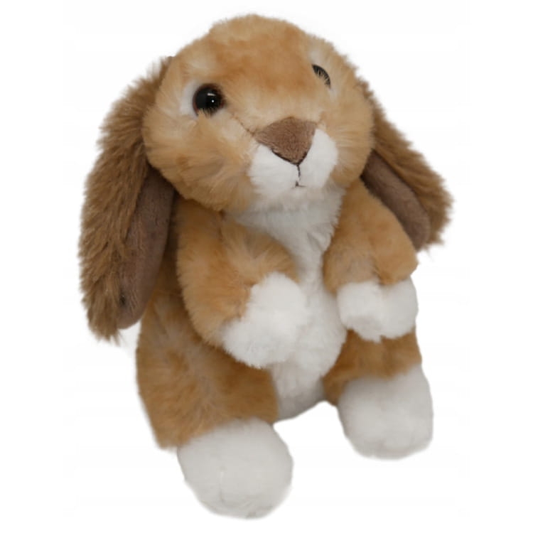 KROLIK ZAJAC MASKOTKA STAWSCY 7.jpeg