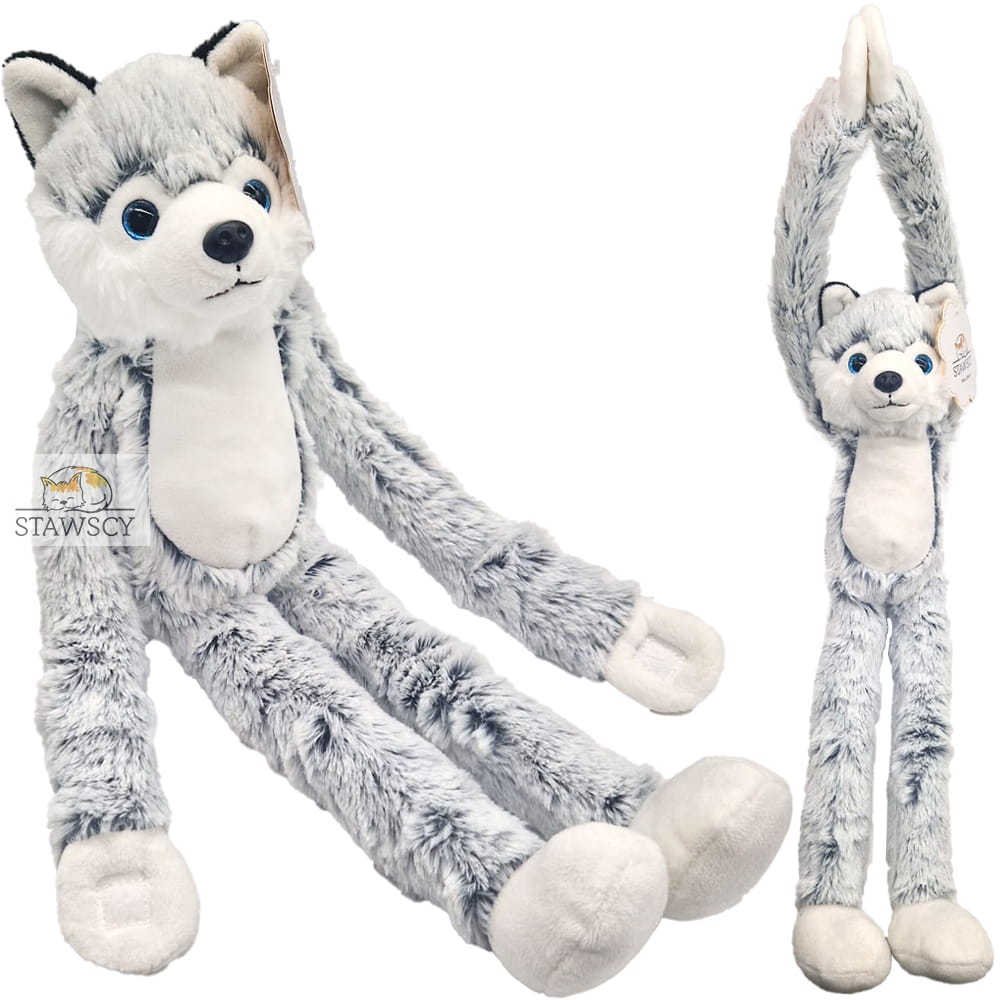 HUSKY PIESEK NA RZEPY WISZACA STAWSCY MASKOTKA PLUSZOWY 4.jpg