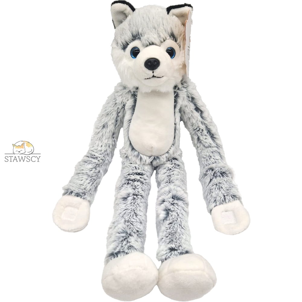 HUSKY PIESEK NA RZEPY WISZACA STAWSCY MASKOTKA PLUSZOWY 2.jpg