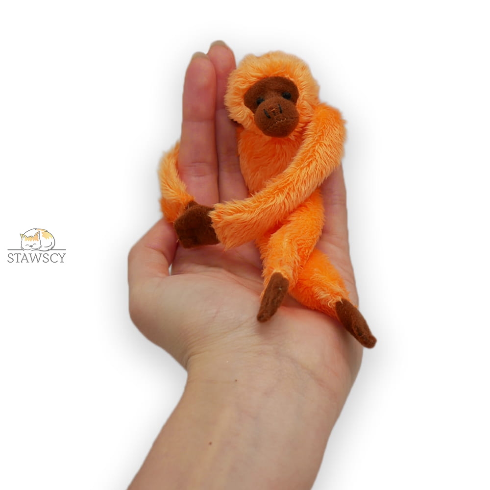 ORANGUTAN.jpg