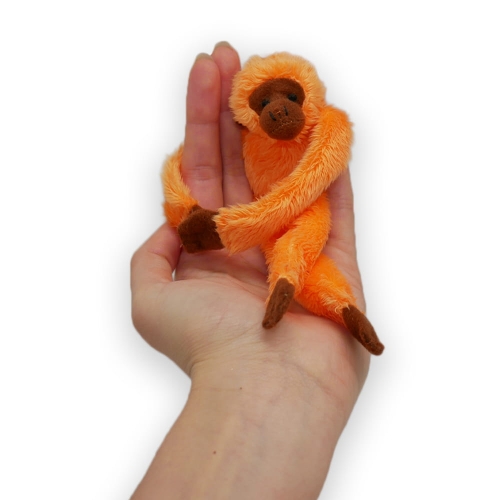 ORANGUTAN.jpg