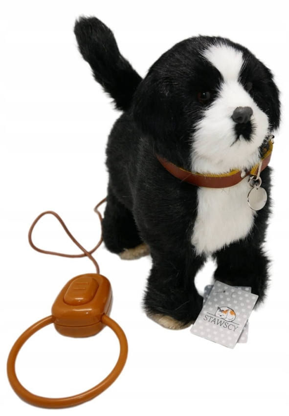 piesek interaktywny na smyczy pies stawscy szczeka chodzi 27.jpg